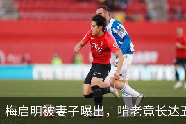 梅启明被妻子曝出，啃老竟长达五十年，还逼17岁儿子停学打工